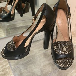 Sexy Comfortable High End Shoe